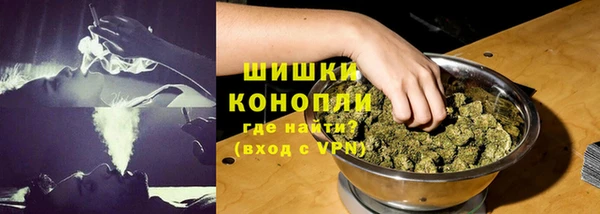 молекула духа Богородск