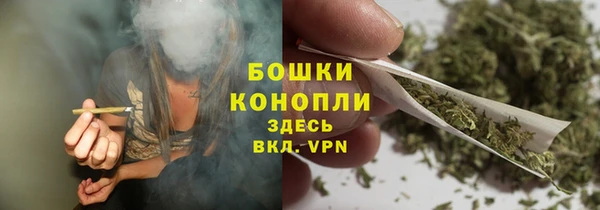 молекула духа Богородск