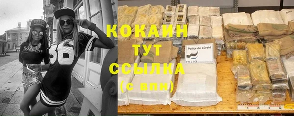 молекула духа Богородск