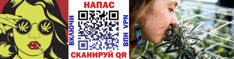 Бошки Шишки тримм  Константиновск 